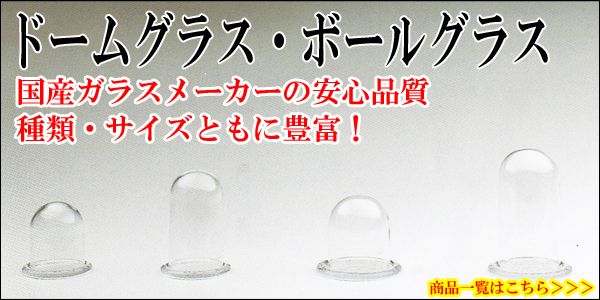 ドームグラス グラスドーム ガラスドーム